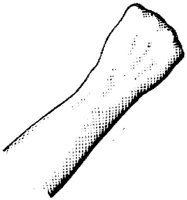 HND042C.JPG