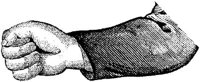 HND015H.JPG