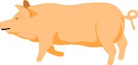 HOG.WMF