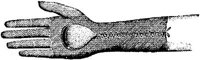 HND042E.JPG