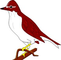 HTHRUSH.WMF