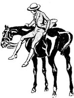 SIL097C.JPG