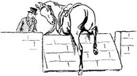 SIL095M.JPG