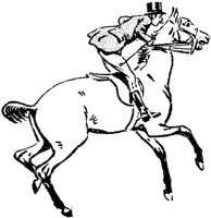 SIL095C.JPG