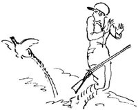 SIL092C.JPG