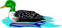 LOON.WMF