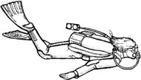 SHR010E.JPG