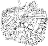SHI030A.JPG