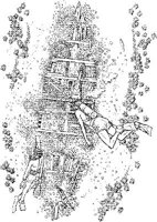 SHI025A.JPG