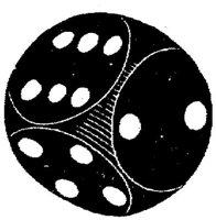 OSP030D.JPG