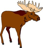 MOOSE.WMF