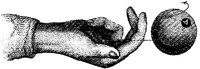 HND039H.JPG