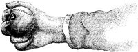 HND039E.JPG