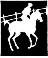 ASI020D.JPG