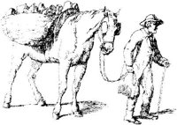 OES017A.JPG