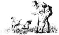 OES014C.JPG