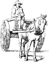 OES011C.JPG