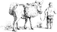 OES002A.JPG