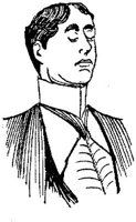 HVS007E.JPG