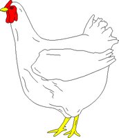 POULTRY2.WMF