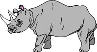 RHINO.WMF