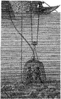 PMI208D.JPG