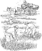 EAC045A.JPG