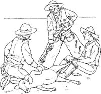 CBW022A.JPG