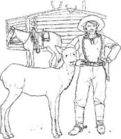 CBW020A.JPG