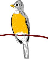 ROBIN.WMF