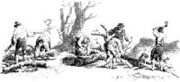 OES032C.JPG