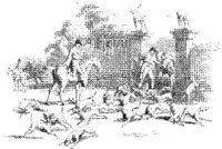 OES028E.JPG