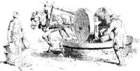 OES016C.JPG