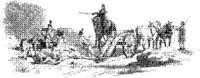 OES014D.JPG