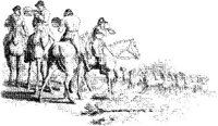 OES008C.JPG
