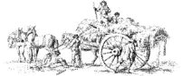 OES005A.JPG