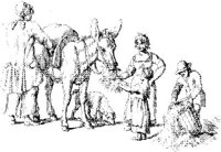 OES004B.JPG