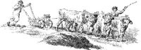 OES003B.JPG