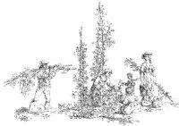 OES001C.JPG