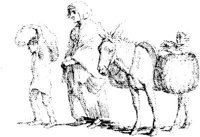 OES001B.JPG