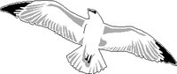 SEAGUL2.WMF
