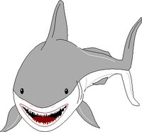 SHARK.WMF