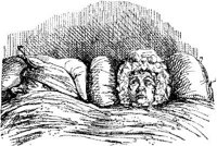 HVS029G.JPG