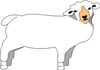 SHEEP.WMF