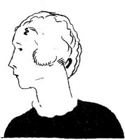 SIL012C.JPG