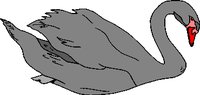 SWAN.WMF