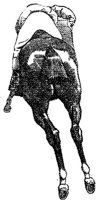 OSP012I.JPG