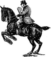 OSP012C.JPG