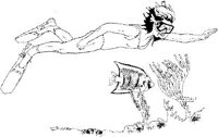 IWT028A.JPG