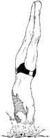 IWT020C.JPG